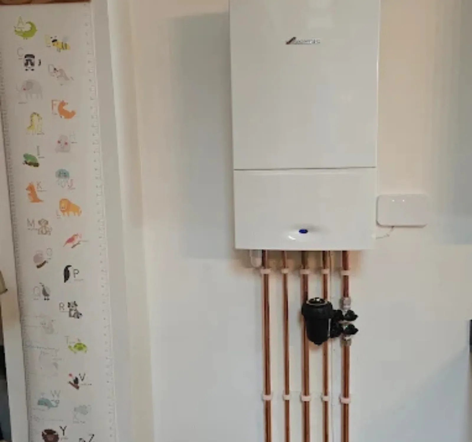 Gas Boiler Installation